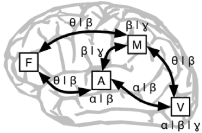 network model research